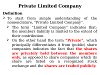 13. Private Limited Company.pptx